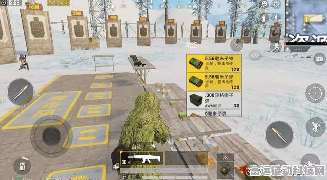 和平精英训练场揭秘，特种兵种藏匿何处？深度探索与实战攻略