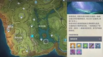 原神晴雨的经纬前置任务解锁秘籍大公开