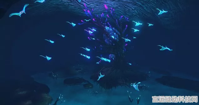 深海迷航，探秘绿岛的绝佳位置指南