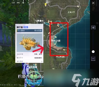 和平精英绿洲世界，乘坐飞机的独家秘籍大公开