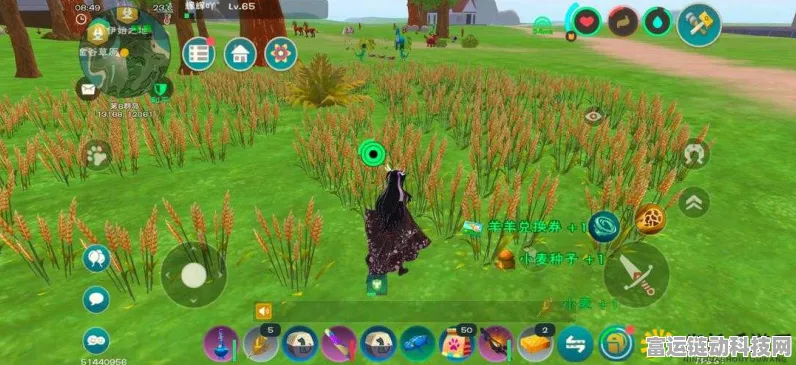 探秘创造与魔法，寻找那片被遗忘的梦幻草原