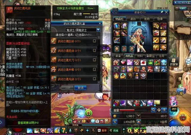 DNF 黑武 110 版本顶级装备大揭秘