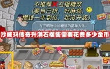 沙威玛传奇深度攻略，揭秘石榴酱满级秘籍与金币高效利用策略