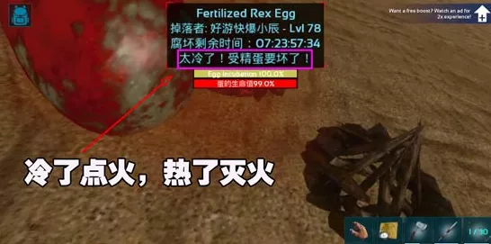 手游方舟，生存进化深度攻略，揭秘受精龙蛋的篝火孵化技巧