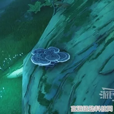 鸣潮云芝采集秘籍，高效路线大公开