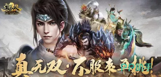 揭秘极无双2正版之谜，权威版本辨识指南