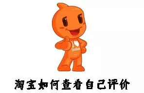 淘宝个人评价查询秘籍大公开