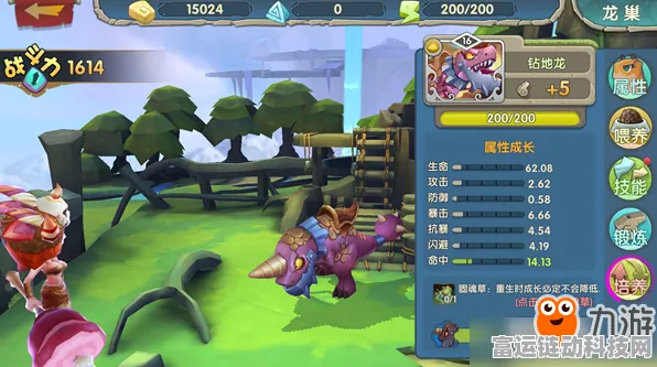 小小驯龙师制霸秘籍，最强阵容精妙搭配指南