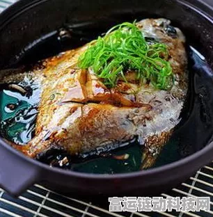 超级达人神秘综艺，通关秘籍与精彩细节大揭秘