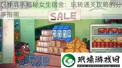 玩梗高手退房秘籍，轻松通关攻略大揭秘