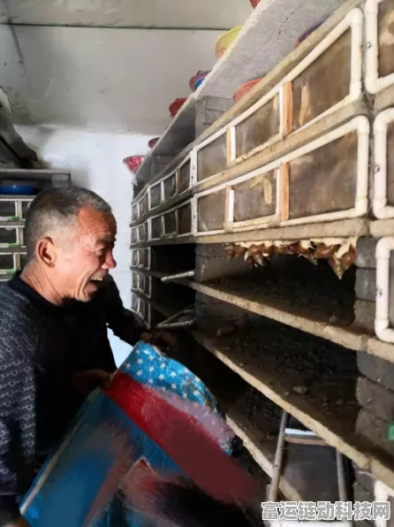 揭秘最强蜗牛绿贵获取攻略，游戏推广员身份大揭秘！