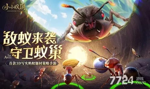 小小蚁国兑换码全揭秘！海量福利等你拿