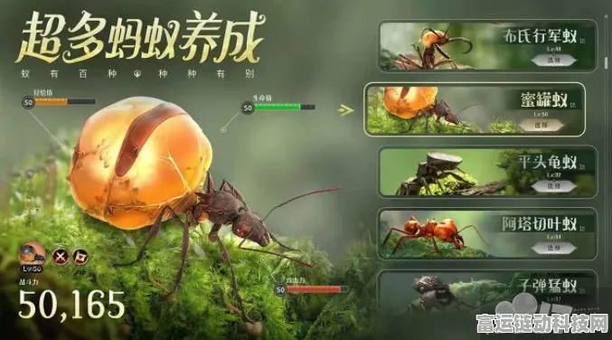 小小蚁国兑换码全揭秘！海量福利等你拿