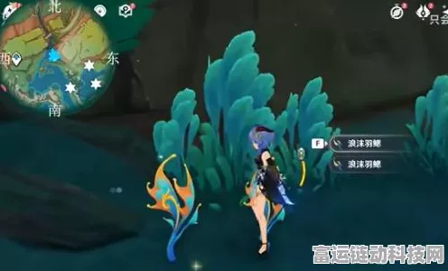 原神浪沫羽鳃采集秘籍，最佳路线全解析