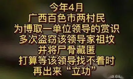 文字脑洞，助大嫂搞定 6 万安葬费 启强下葬全攻略
