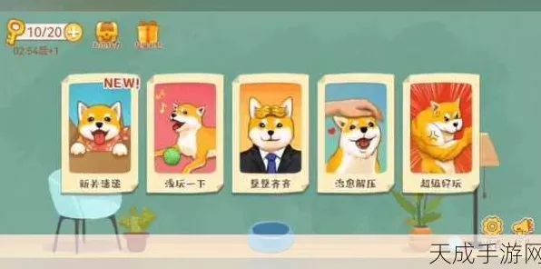 超级收纳馆萌宠出道通关秘籍，详细攻略与精彩细节