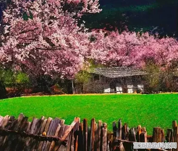 桃源深处有人家，探秘花圃种植秘籍