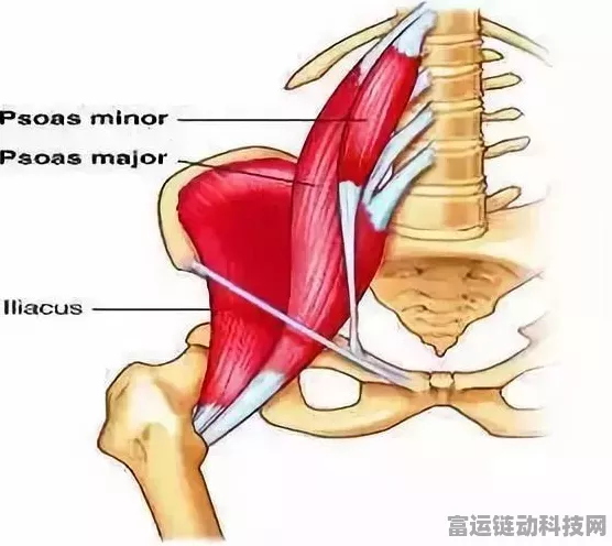我的世界，弓箭修复秘籍大揭秘
