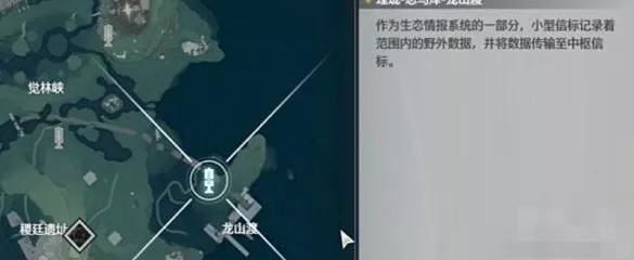 鸣潮怨鸟泽，解密宝箱位置全揭秘与获取攻略