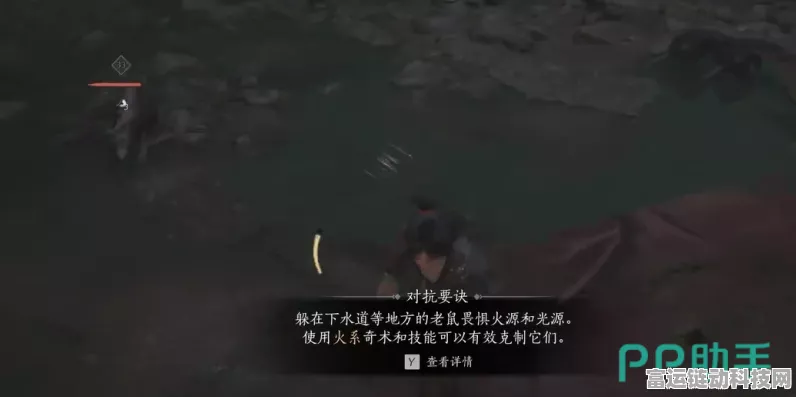 燕云十六声大老鼠神秘触发攻略全解
