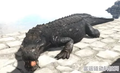 鸣潮灯笼果采集秘籍，高效路线全揭秘