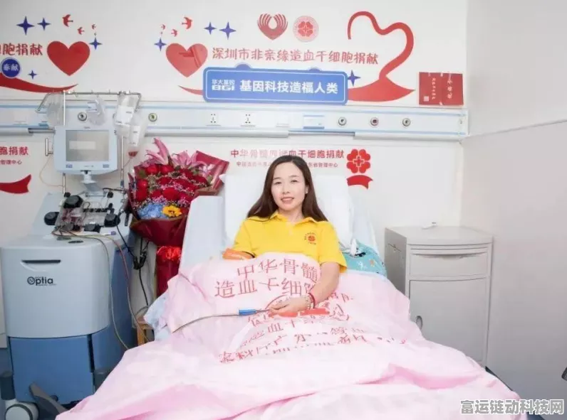 鸣潮灯笼果采集秘籍，高效路线全揭秘