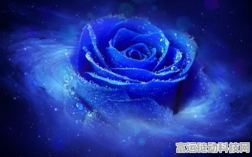 探秘抖音蓝色妖姬梗，你真的懂其含义？