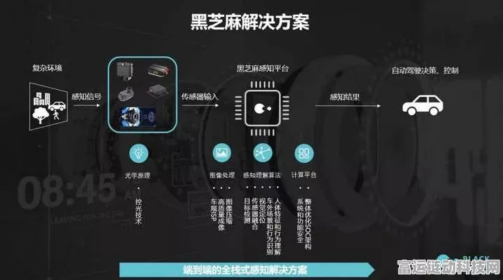 黑芝麻智能进博会大放异彩，揭秘智能汽车芯动力