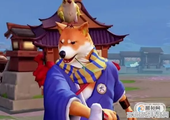 2024 阴阳师，探寻柴犬出没最多之地