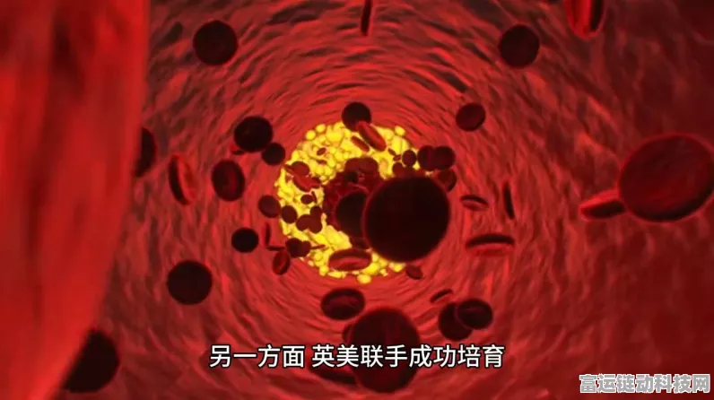 2024 不朽家族超值兑换码与礼包码大揭秘