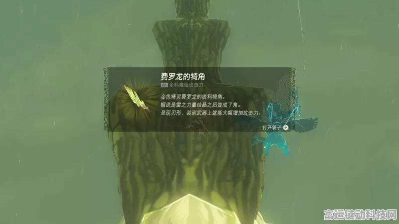 塞尔达传说王国之泪，探寻费罗龙龙岩石的神秘所在