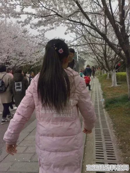 探秘芳菲故园，独特魅力与玩法全解析