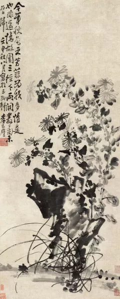 探秘芳菲故园，独特魅力与玩法全解析