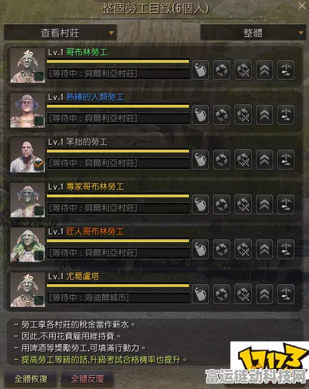 手游攻略，黑色沙漠劳工系统深度剖析与实战高效运用