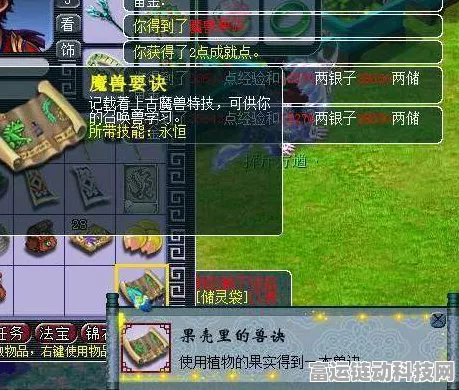 梦幻西游深度解析，豪宅与华宅的奢华对决，哪个才是你的梦幻之选？