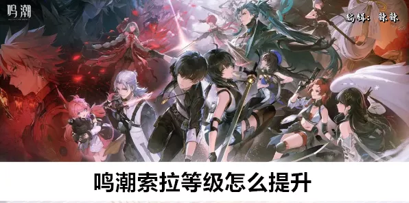 鸣潮索拉角色养成全攻略，等级提升与技能解锁深度剖析