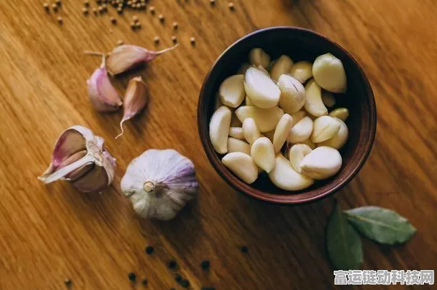 手游美食探索，小森生活料理配方全揭秘，赢取限定厨房神器！