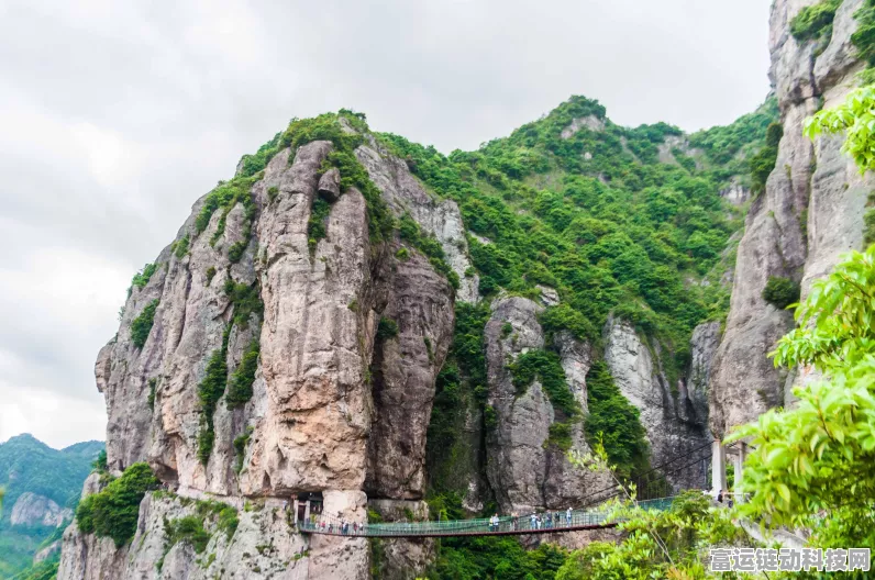 刺激战场户外直播：带你领略不一样的战斗风景！