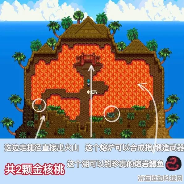星露谷物语，全面揭秘金核桃获取攻略与珍稀位置