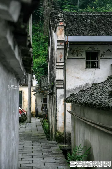 桃源深处有人家商店经营秘籍，解锁财富与资源的双赢之道