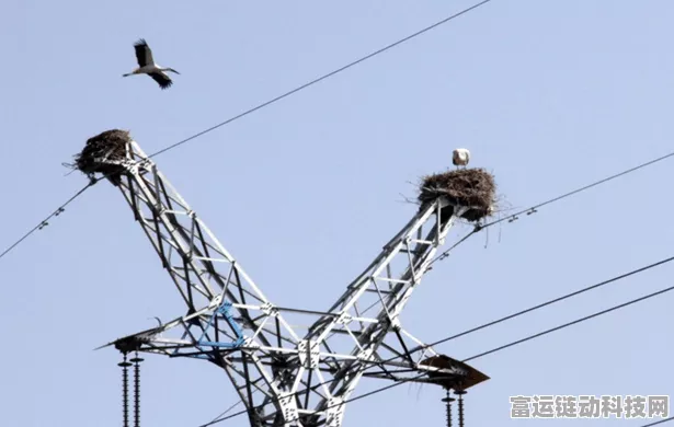AI智能激光语音驱鸟器，守护电网安全的新利器