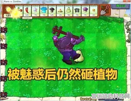 魅惑菇止步三阶之谜，植物大战僵尸2深度策略解析