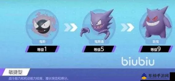 口袋妖怪魂银493版，揭秘鬼斯进化至最终形态的奥秘