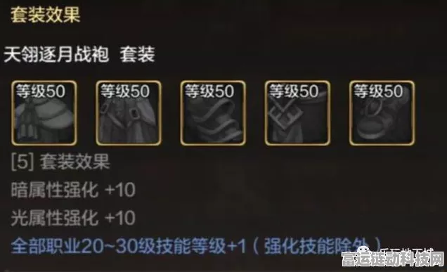 DNF手游珍稀装备深度解析，黑玫瑰胸甲实战效能与独家获取秘籍