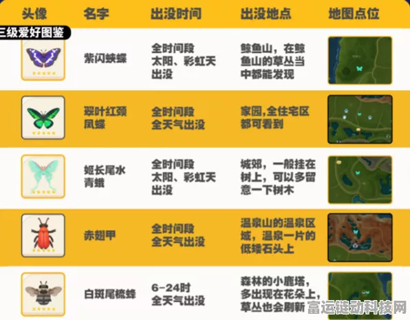心动小镇捕虫大赛全攻略，高效赚钱技巧与珍稀图鉴价值剖析