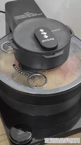 飞机大厨实名认证全解析，安全游戏，畅享烹饪乐趣