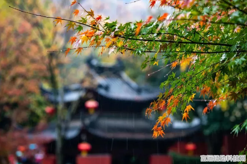 口袋妖怪火红，彩虹市稀有宠物捕捉秘籍与高效攻略