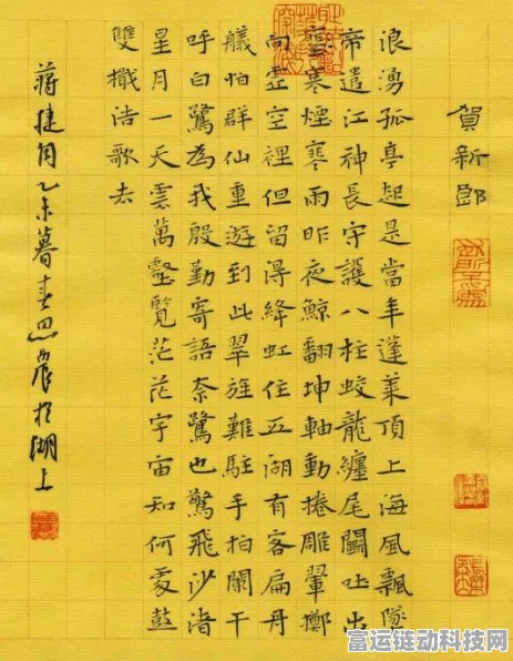 航海王燃烧意志，寻宝拼图大挑战，终极宝藏攻略全揭秘