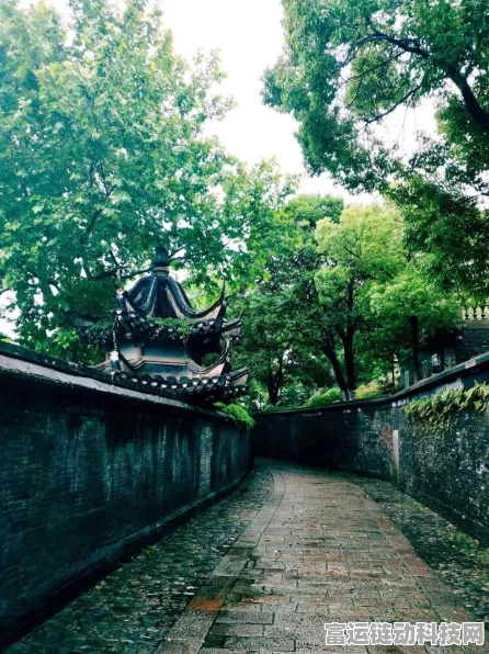 烟雨江湖冰心诀200级后突破秘籍，解锁全新境界的修炼之道