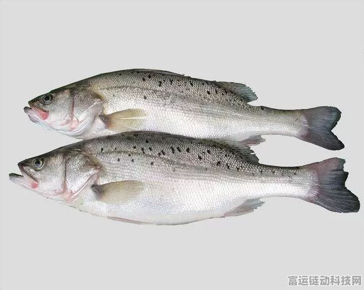稀有鱼类大揭秘，最终幻想15使骸七星鲈垂钓全攻略